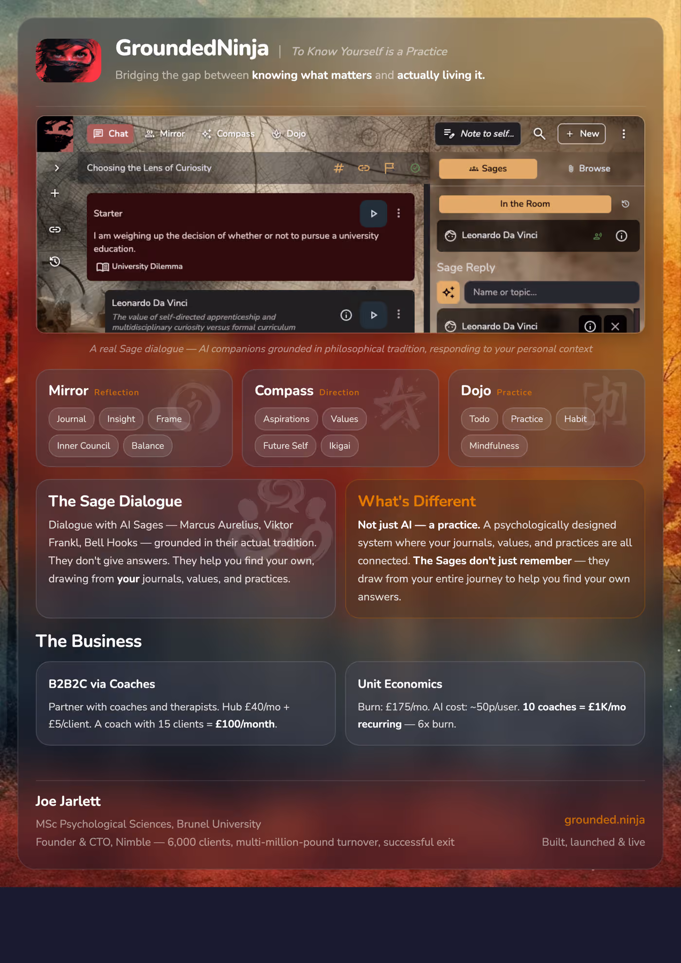 GroundedNinja overview